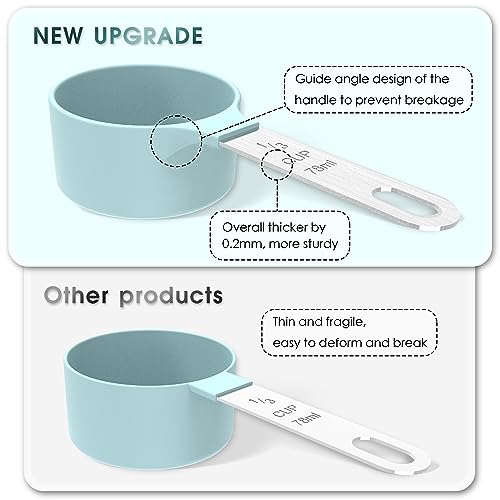 Measuring Cups & Spoons Set