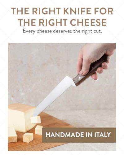 Professional Tasting Cheese Knife