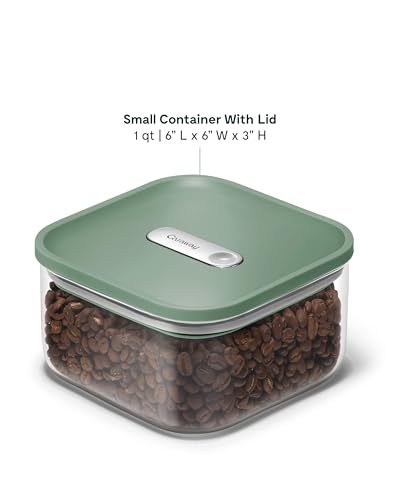 1 qt Glass Airtight Food Storage Container with Lid (Sage / 1qt Container)