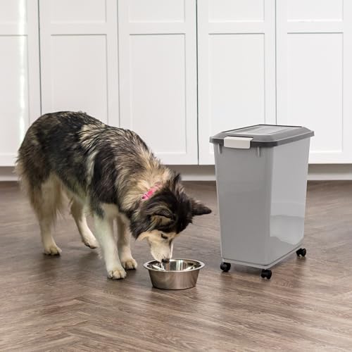 Dog Food Storage Container (40 lbs / Gray/Dark Gray)