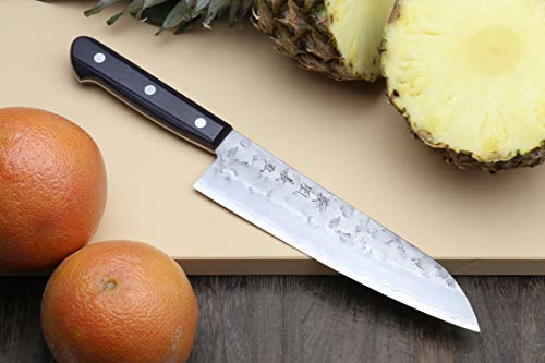 Stainless Clad Nashiji Ginsan High Carbon Stain Resistant Steel Santoku Multipurpose Knife