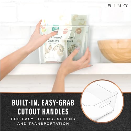 Plastic Organizer Bins (Clear / X-Small)