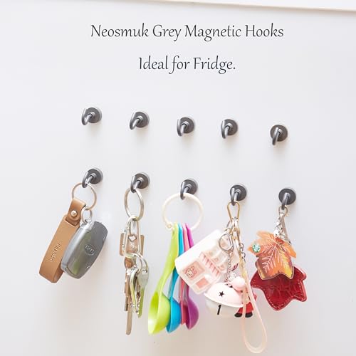 Magnetic Hooks (15 Count)