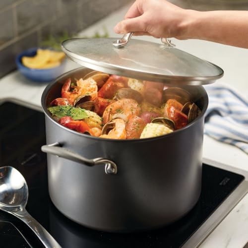 A1 Series Nonstick Induction Stockpot with Lid