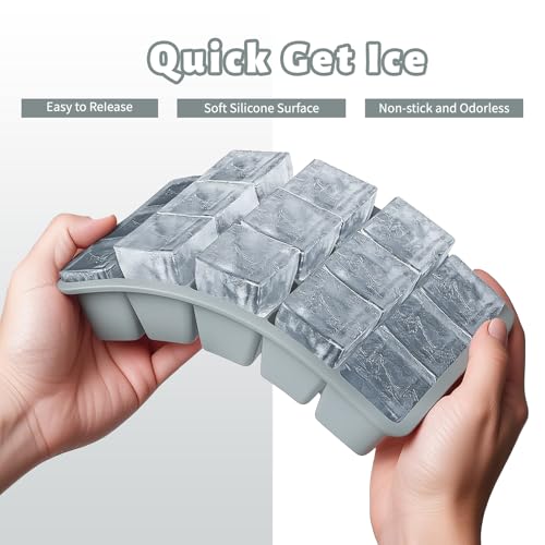 Silicone Ice Cube Tray 2 Pack (Gray / Ice Cube Tray 2 Pack)