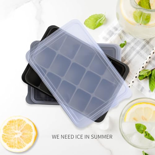 Ice Cube Trays Set of 2 (Black)