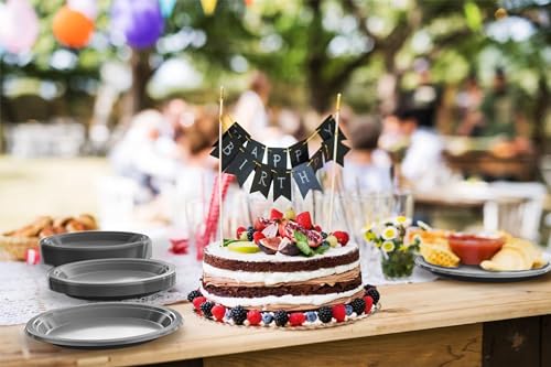 Party Solids Sturdy Silver Plastic Plates 10" Party Plates 100 Pcs (10 inch / Silver)