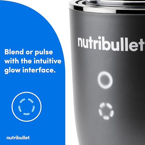 Ultra Personal Blender (32 oz / Gunmetal Gray)
