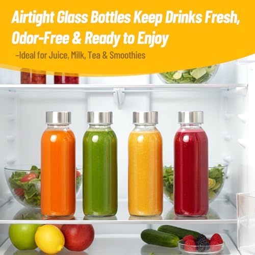 10 oz Glass Juice Bottles (Clear Glass Bottle 6 Pack / 10 Ounces)