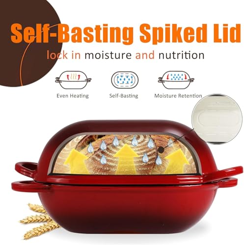 2.5 QT Enameled Cast Iron Sourdough Bread Oven (Red / 2.5 QT)