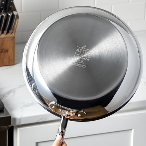 D3 3 Ply Stainless Steel Fry Pan with Lid 10 Inch (10 inch Stainless Steel Fry Pan)