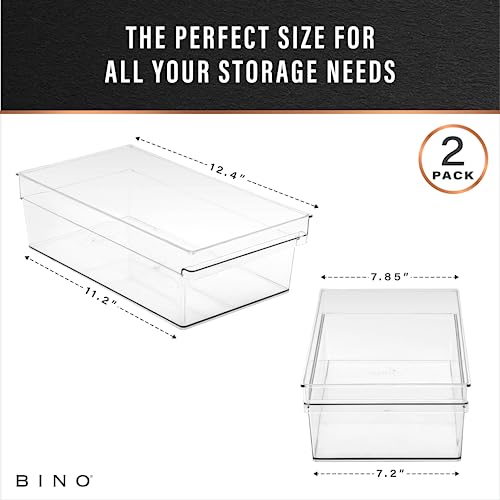 Plastic Storage Bins (2PK SHALLOW - LARGE - 12 x 8 x 4)