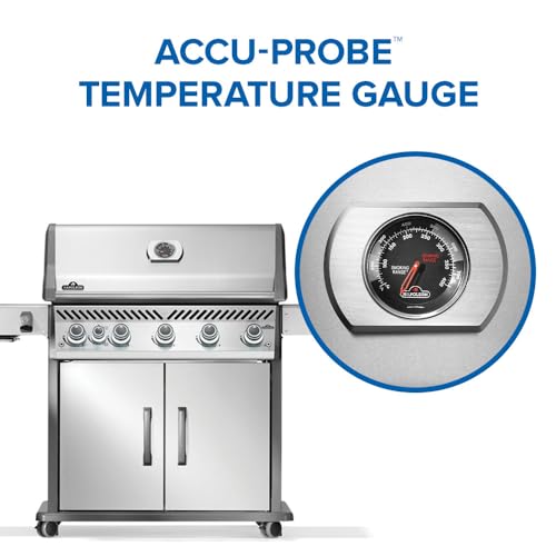 Rogue PRO 625 5 (Stainless Steel / Rogue PRO 625)