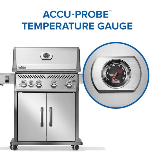 Rogue PRO 525 4 (Stainless Steel / Rogue PRO 525)