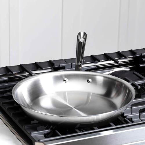 D3 Stainless Steel 12" Fry Pan (12 inch)