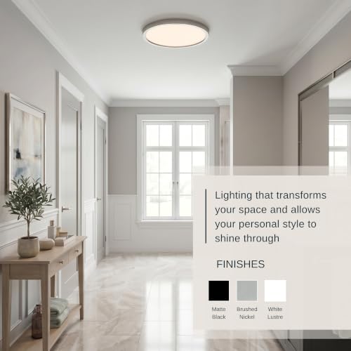 Outskirts 20" Round Flush Mount LE Ceiling Light