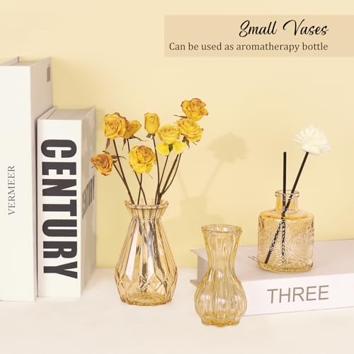 Set of 36 Glass Bud Vases Small Flower Vases for Centerpieces (Champagne)