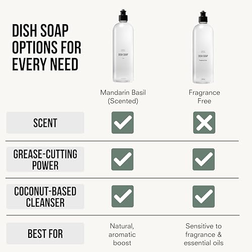 Natural Fragrance Free Dish Soap (16 Fl Oz (Pack of 1))
