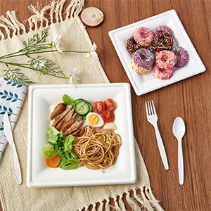 120 Pack Compostable Paper Plates Disposable (10 inch and 8 inch)
