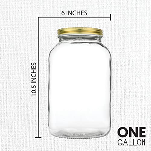 1 Gallon Glass Large Mason Jar Wide Mouth with Metal Airtight Lids (Gold Lid / 1 Gallon)