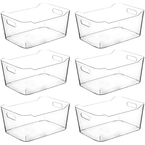 Clear Plastic Storage Bins (Large)