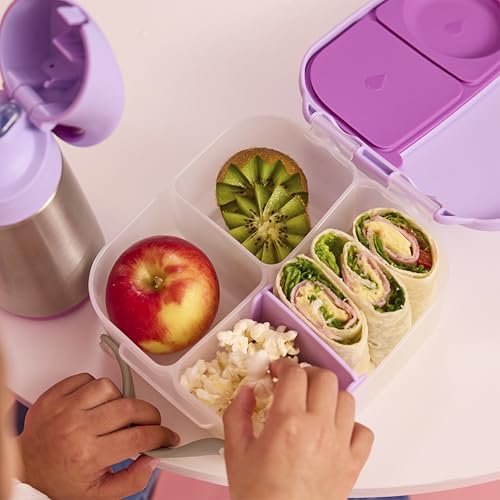 Mini Lunch Box (Sugar Plum / 1-pack)
