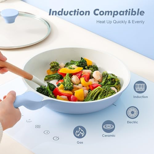 8Inch Nonstick Ceramic Frying Pan with Lid (Glacier Blue / 8 Inch)
