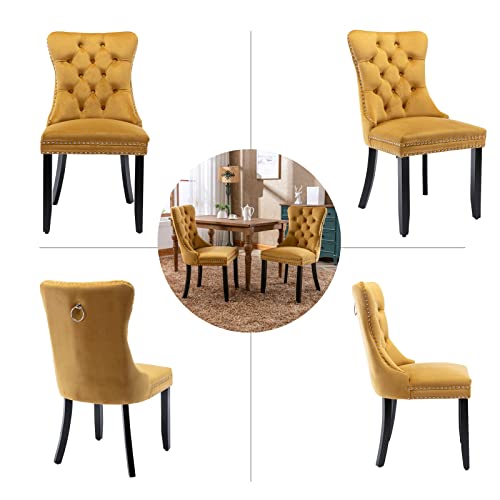 Gold Velvet Dining Chairs Set of 4 (Glod)
