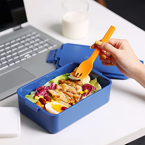 Stackable 2 Tier Adult Bento Box