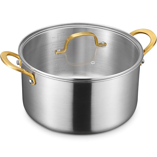 10 QT Stock Pot with Lid