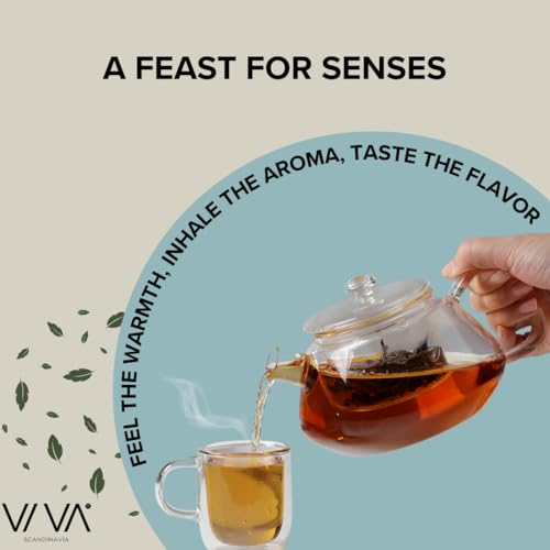 Viva Nicola All Borosilicate Glass Teapot with Lid Included