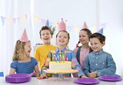Sturdy Purple Plastic Plates 10" Party Plates 100 Pcs (10 inch / Purple)