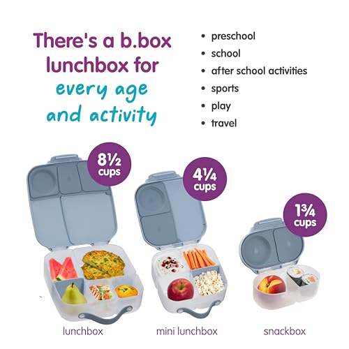 Mini Lunch Box