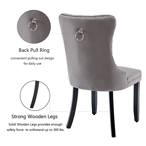 Grey Velvet Dining Chairs Set of 6 (Grey)