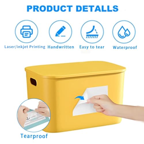 Removable Freezer Labels (White / 1×3 inch-2 rolls)