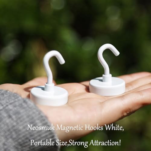 Magnetic Hooks (White / 1.02 inches)