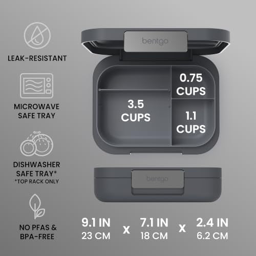 Modern Adult Bento Lunch Box with 3