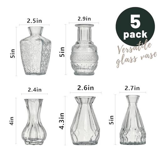 Glass Bud Vase Set of 5 Pcs Small Minimalist Vases for Flowers (Clear)