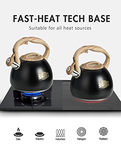 POLIVIAR Tea Kettle (2.7 Quarts / Black Ti-N)
