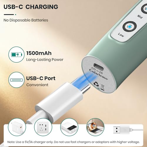 Milk Frother Handheld Rechargeable (without stand / Sage Green)