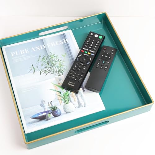 Green Decorative Serving Tray with Handles (Dl06re)