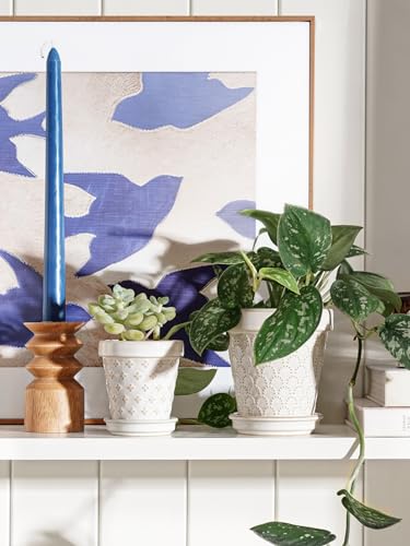 Ceramic Succulent Pots (4 inch)