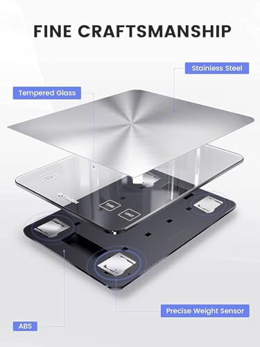 33lb Food Scale (Silver Black)