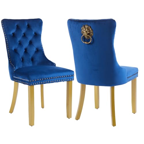 Blue Velvet Dining Chairs Set of 2 (Navy Blue)