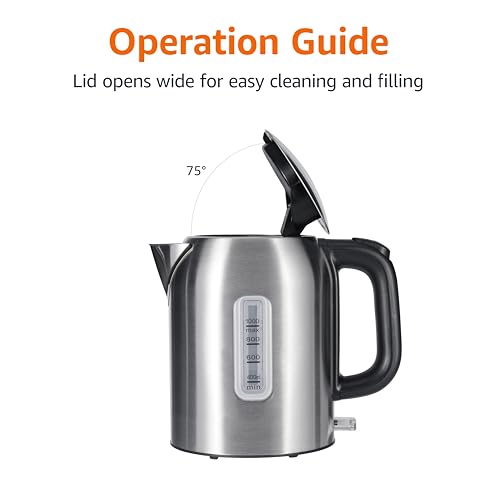 Electric Kettle (Stainless Steel / 1.1 Quarts)