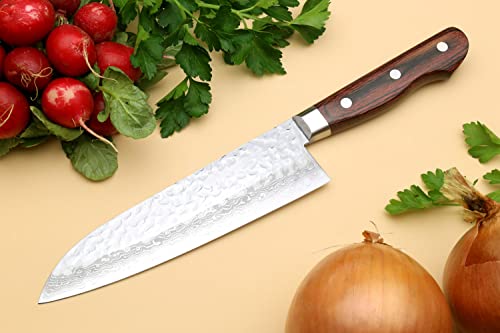 VG10 16 Layer Hammered Damascus Stainless Steel Santoku Chefs Knife (7" / Mahogany Handle)