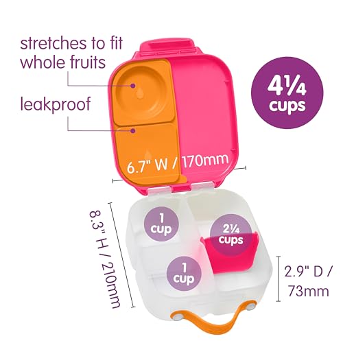 Mini Lunch Box