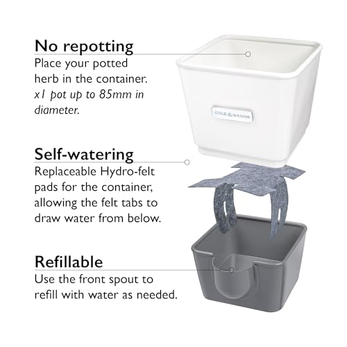 Self Watering Single Potted Herb Keeper (Single Fresh Herb Keeper)