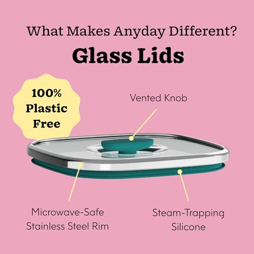 10 Cup Square Glass Food Storage (Blueberry)