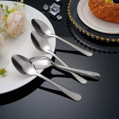 Windsor 60 Pcs Stainless Steel Dinner Spoons (60-piece Dinner Spoon)
